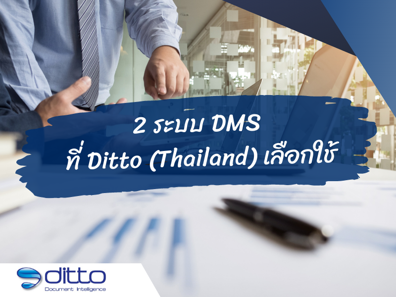 2 ระบบ DMS ของ Ditto
