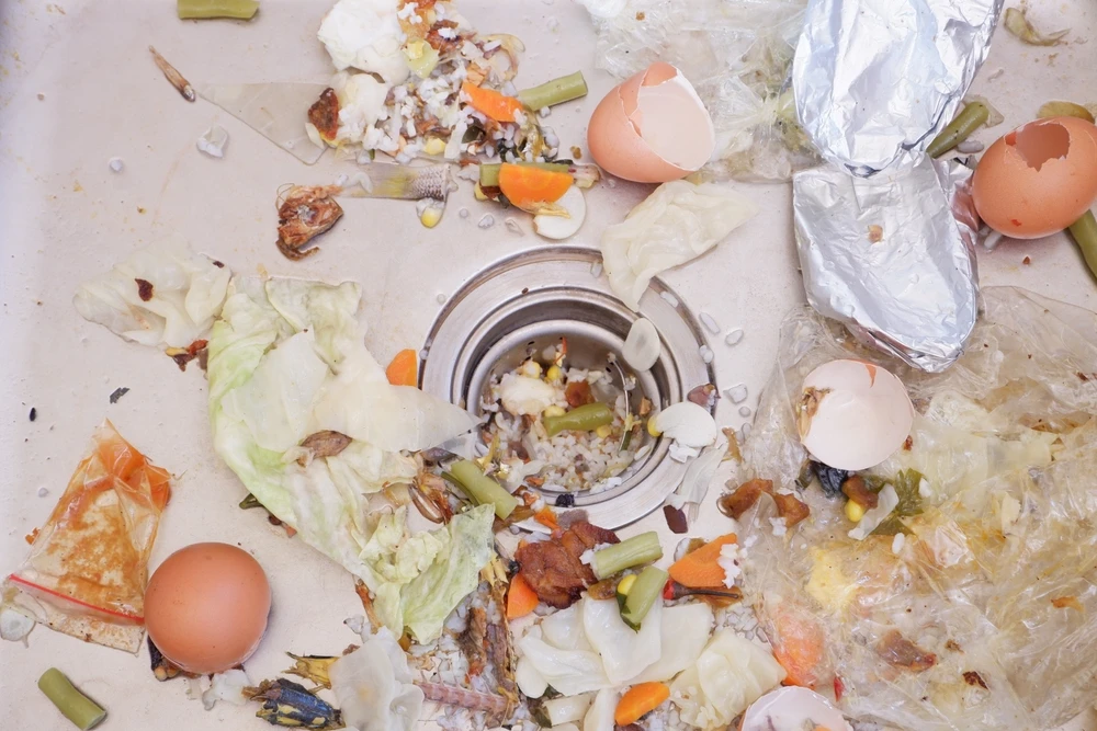 Food Waste