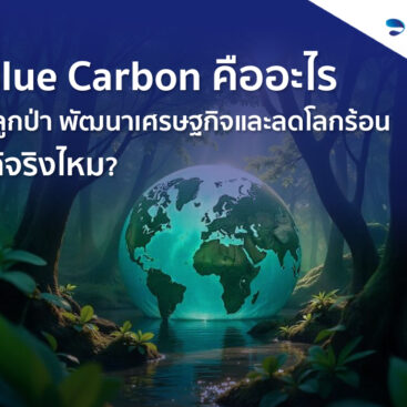 Blue Carbon